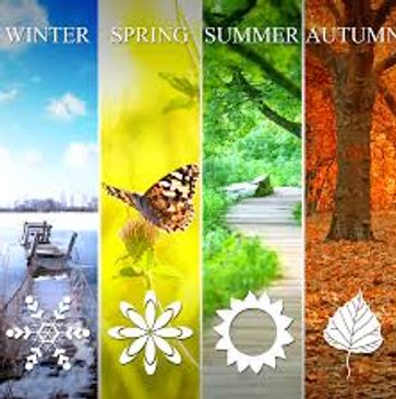 TCM Curative Foods for the Seasons — four seasonal panels showing Winter, Spring, Summer, and Autumn